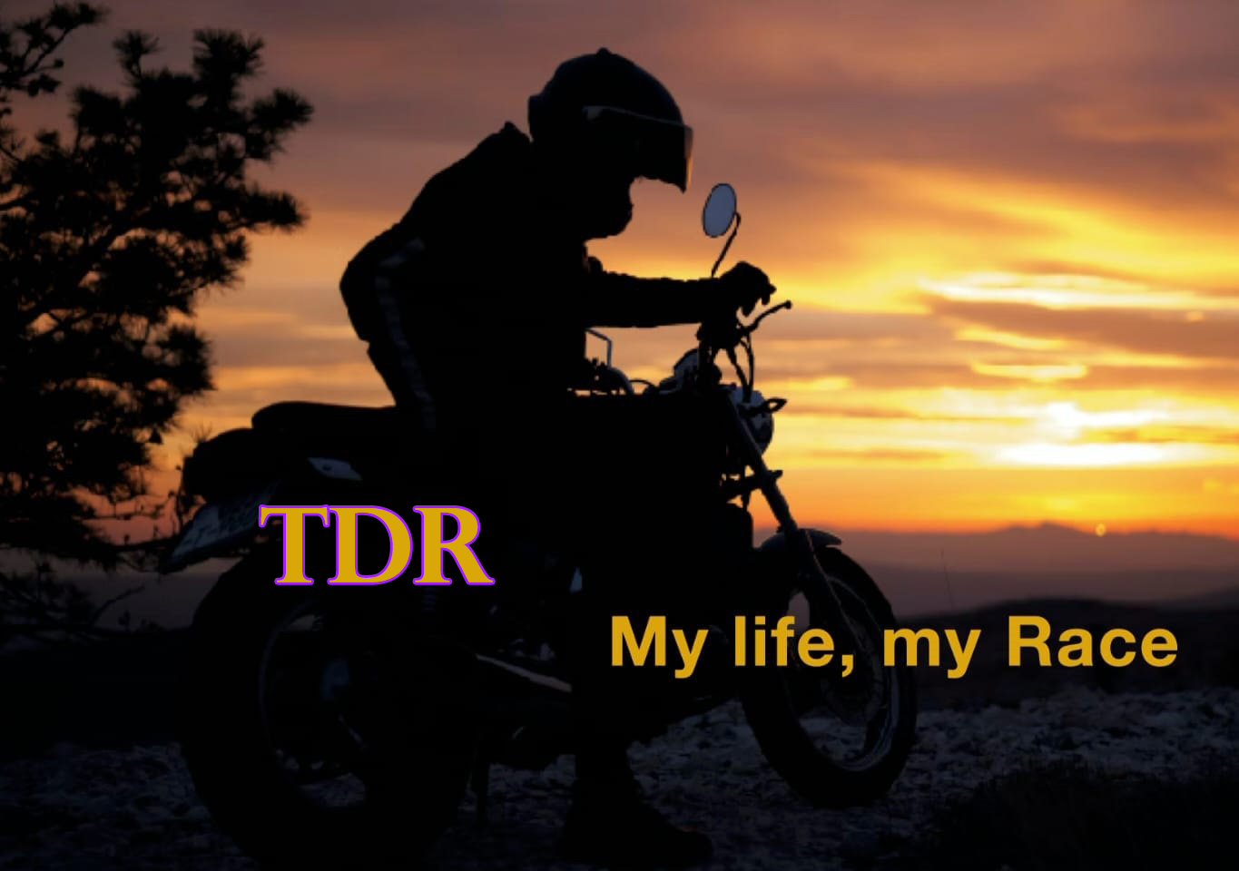 TDR