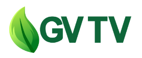 GV TV